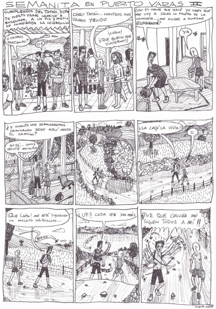 201201 semanita en puerto varas II web