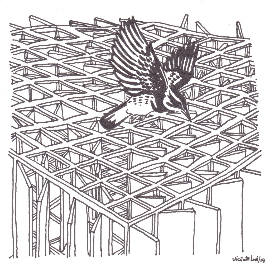 sobre vuelo 2
